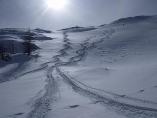 Tracce
