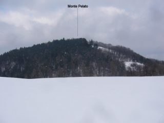 M.Pelato dalla Fr.Bassi