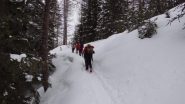 salendo nel bosco sul sent n.15