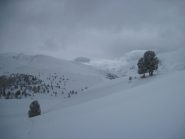 Tantissima neve