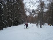 la discesa nel bosco