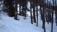 Salita  nel bosco....