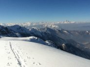 viso tra lo smog