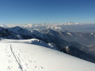 viso tra lo smog