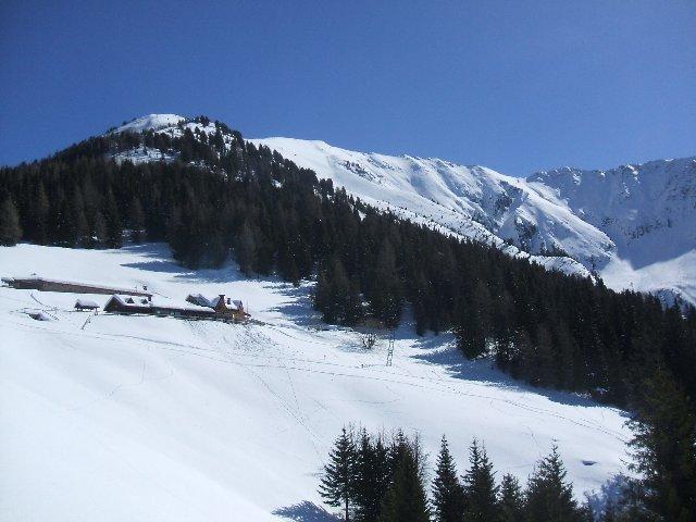 arrivando al rif.Tonini