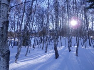 Un angolo di norvegia a Trovinasse