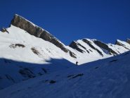 sbucando verso il sole