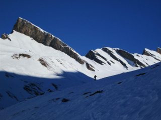 sbucando verso il sole