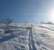 bella salita al sole su comoda traccia