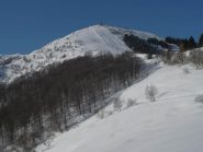 in arrivo a Costa Martorana