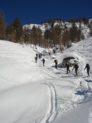 il serpentone dei G.A.S.A.T.I.