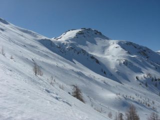 Promette moooolto bene