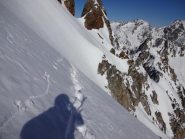 ambiente willcoyotesco