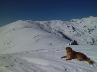 Tomba di Matolda