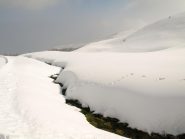 Ruscello a quota 1836 m