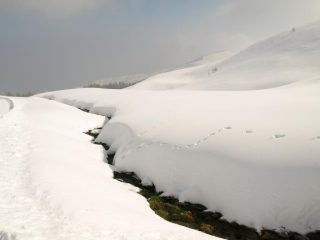Ruscello a quota 1836 m