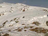 Un uccello, forse un tordo, cerca cibo in cima alla Testa di Garitta Nuova