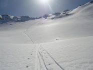 immenso e ...quasi intonso!