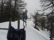 in vetta