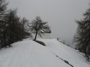 vento