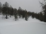 salendo...tanta neve