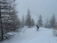 2° discesa sotto una bella nevicata