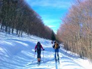 in salita tra gli alberi, bell'ambiente!
