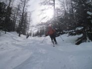 nel bosco in discesa