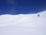 Parte superiore prima della dorsale