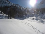 uscendo dal bosco
