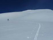 Solo bianco e blu