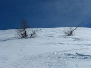 soddisfazione in discesa