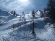 Nella parte alta del bosco