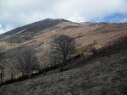 La dorsale di discesa