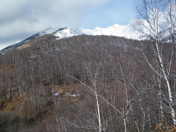 Panorama dal Bric Trausella