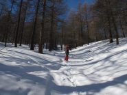 Nel bosco a monte del rifugio Chaligne