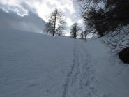 Le nostre tracce di discesa