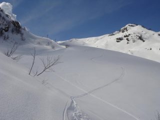 discesa in pendii intonsi