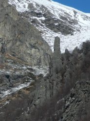 il curioso bec dla ciurleri