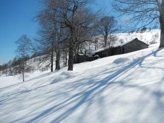 malghe