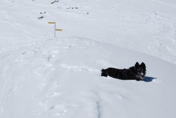 Frank al Col d’Arp