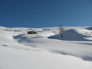  Pendii innevati