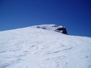 punta_cane che morde