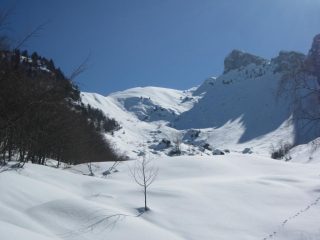 testa del duca in alto a destra