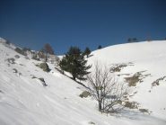 Pizzo d'Ormea, discesa nel Rio Carbonea.