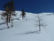 Parte centrale 