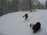 Aria in ammirazione di Cri 