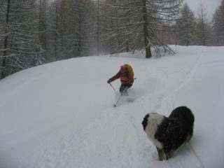 Aria in ammirazione di Cri 