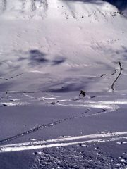 colpi di pennello