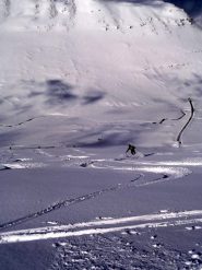 colpi di pennello